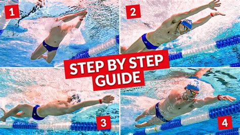 swimming 4 times a week results|Swimming 4 Times A Week Results: It's Incredible!.